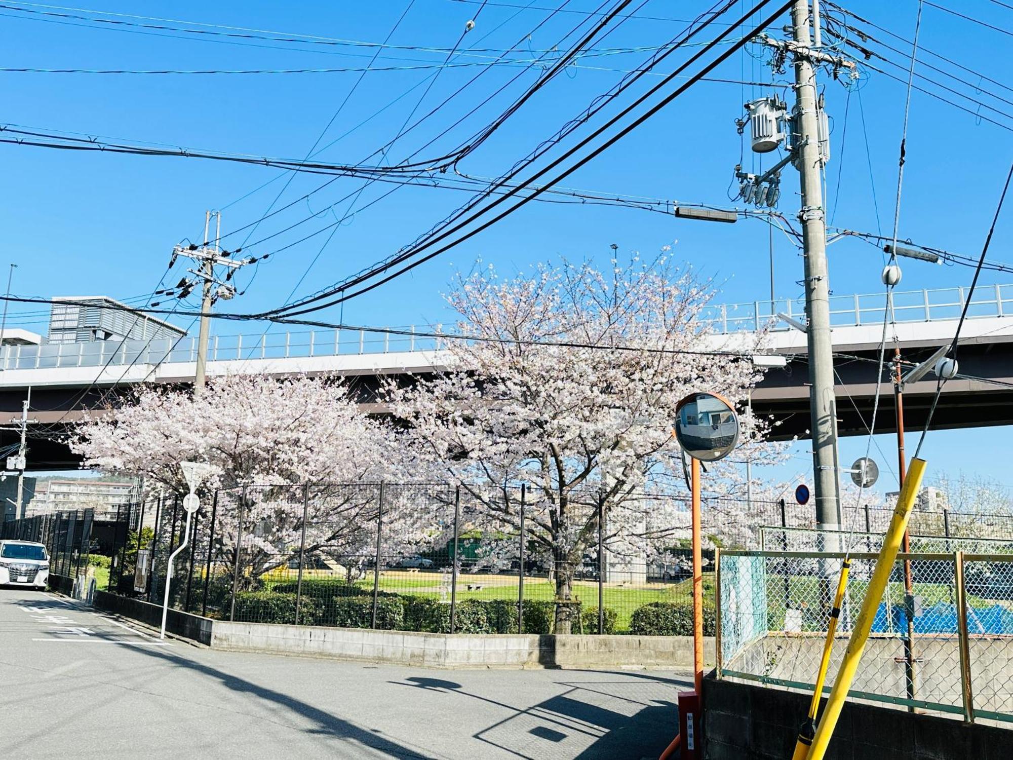 - ki no 宿 ut - 新築 戸建て 最大 7 a まで 宿泊 可能 Tora 街 駅 まで 徒歩 10 分 Κιότο Εξωτερικό φωτογραφία